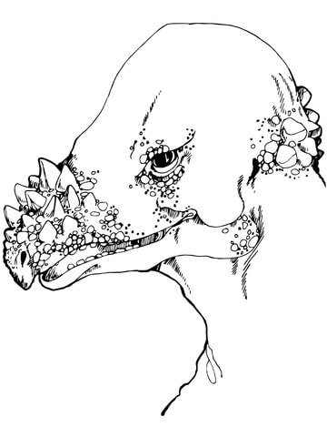 Pachycephalosaurus Head Coloring Page